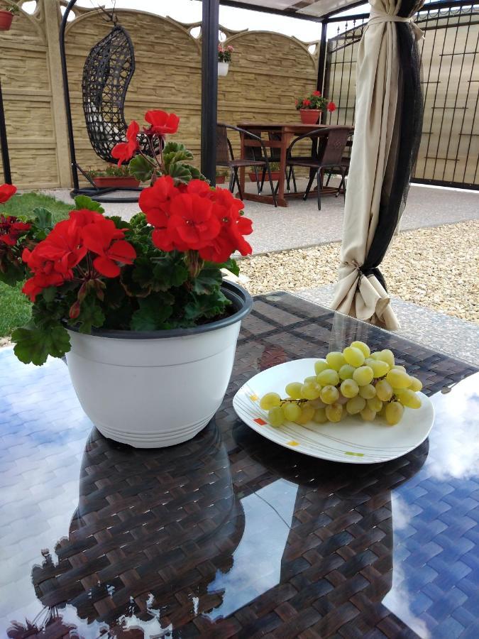 Hotel Casa Eugenia Vama Veche Zewnętrze zdjęcie